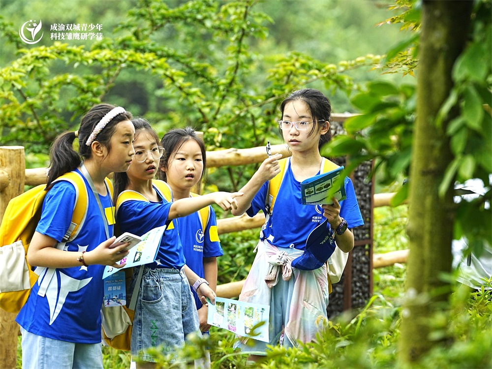 觀察植物.jpg 觀察植物.jpg